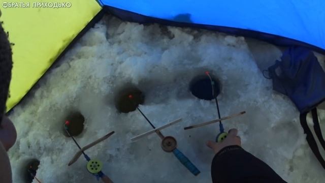 РЫБАЛКА УДАЛАСЬ / ХОРОШЕЕ НАСТРОЕНИЕ / ВСЕХ С НАСТУПАЮЩИМ НОВЫМ ГОДОМ!