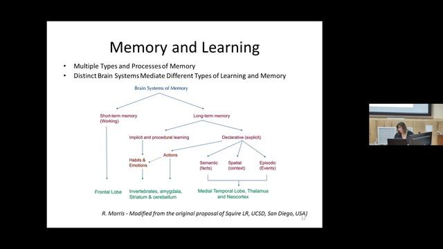 T29 Dr. Olga Martynova "Introduction to Cognitive and Affective Neuroscience" IHNA/iBrain смотреть онлайн