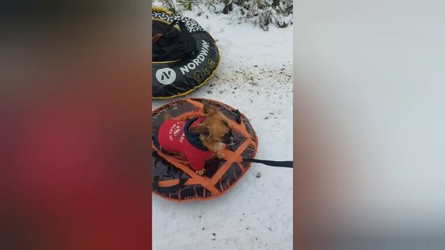 Моя Дача назавается Счастливая здоровая Красота Русской . Натали Советовой. смотреть онлайн