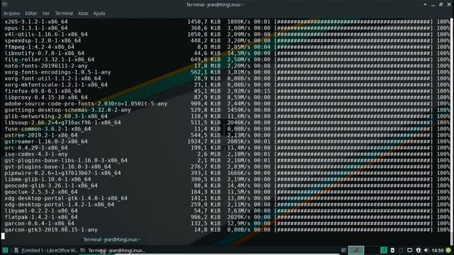 Instalação e Configuração do Manjaro Xfce 18.04 Illyria смотреть онлайн