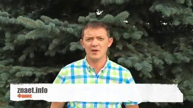 С НАМИ ЭТО РЕАЛЬНО..!! смотреть онлайн