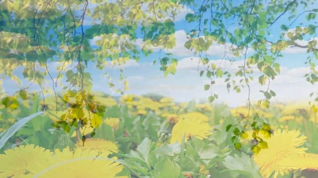 Прекрасным Дамам только этой Весной лично от меня смотреть онлайн