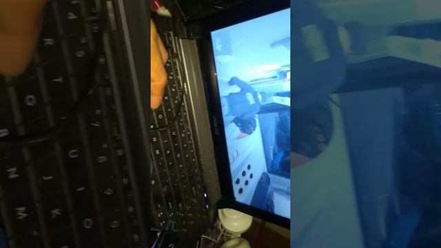 GTA5 on asus N53S NVIDIA GT550 смотреть онлайн