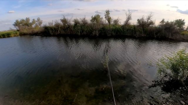 ПСИХІЧНИЙ РОЗЛАД на хелувін ПОРА ЛІЧІЦЯ