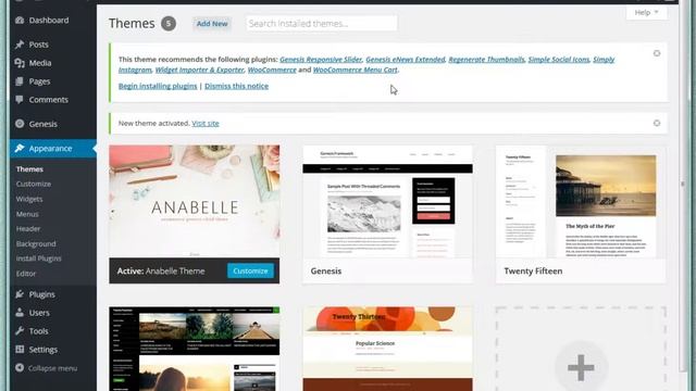 How to Install Your Wordpress Theme from Pixel Luxe смотреть онлайн