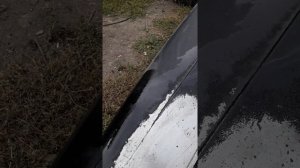 Как смыть транспортировочный грунт