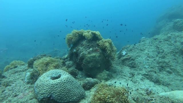 Flic en Flac Mauritius смотреть онлайн