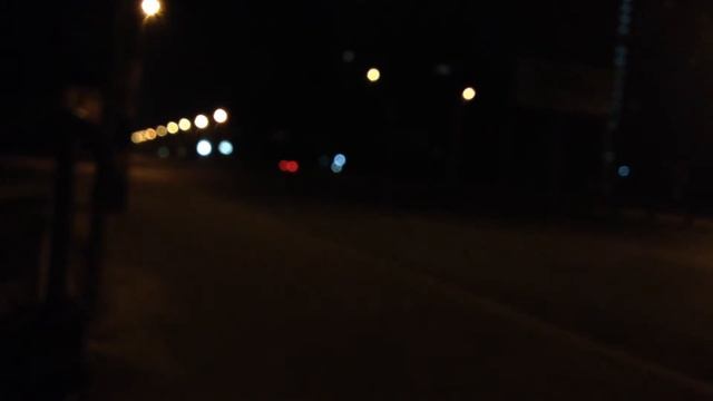 Звери города смотреть онлайн