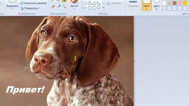Как работать в программе Paint.mp4 смотреть онлайн