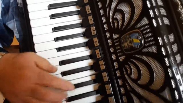 Weltmeister Caprice 120 Bass LMMH Accordion Akkordeon Fisarmonica Black (2) смотреть онлайн