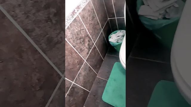 ???????????МНЕ ЧУТЬ ЧУТЬ СТЫДНО БЫЛО ??????? смотреть онлайн