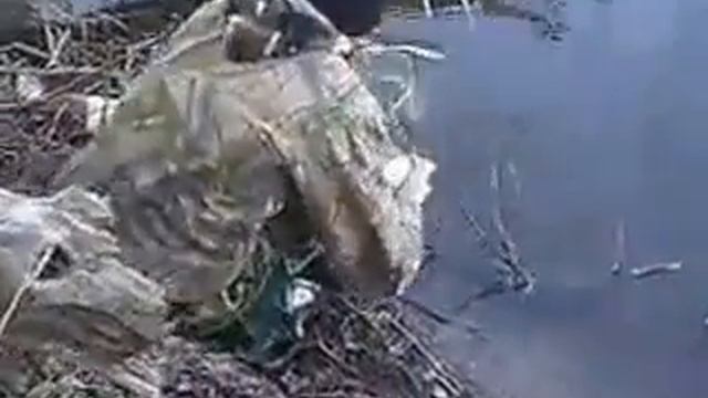 рыбалка на донце.. смотреть онлайн