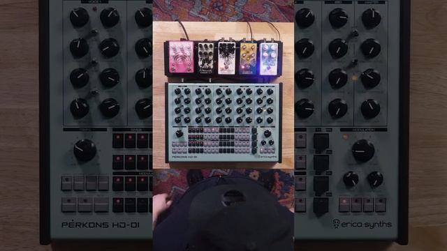 Pairing EQD pedals with the Erica Synths Pērkons HD-01 Synthesizer #ericasynths смотреть онлайн