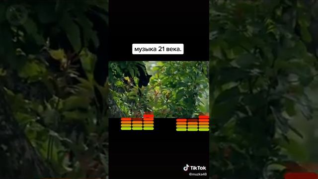 сегодня увидел в тик токе. классная песня 21 века.