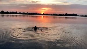 В  воде на природе
