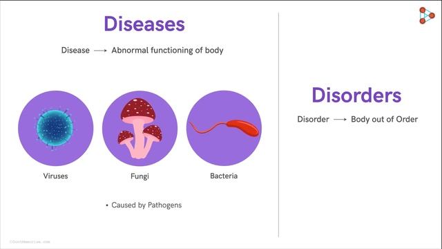Types Of Diseases | Infectious Diseases | Human Health And Diseases | Disorders