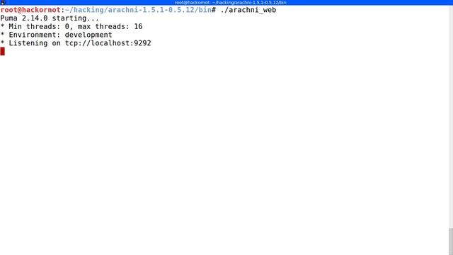 Kali Linux: Check vulnerability in any Website Application with web interface смотреть онлайн