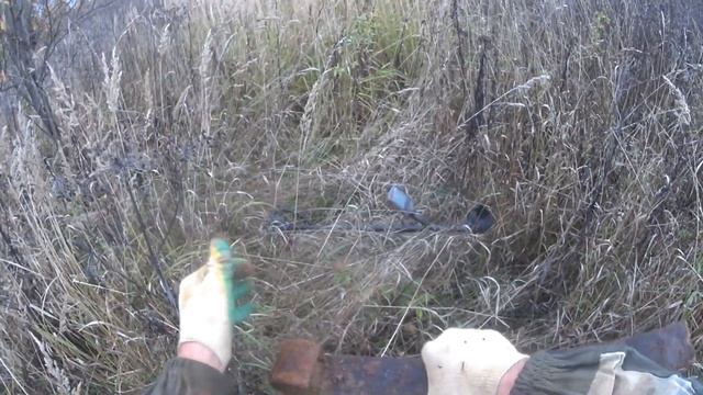 ПОВЕЗЛО С ПЕРВОЙ ЖЕ НАХОДКИ! METAL SEARCH WITH METAL DETECTOR QUEST Q20! смотреть онлайн