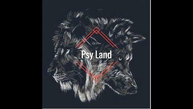 Psy Land смотреть онлайн