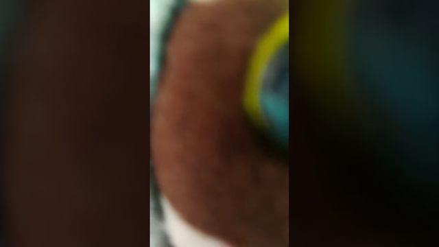 звуко-буквенный разбор слова мышь 🐭🐀🐁 смотреть онлайн