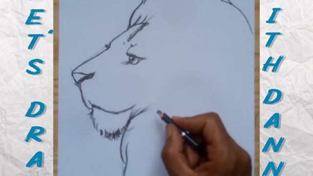 easy lion drawing tutorial step by step смотреть онлайн