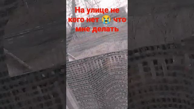 это страшно 😭😭😭 что мне делать смотреть онлайн