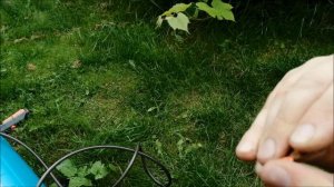 Как прочистить опрыскиватель Gardena 5