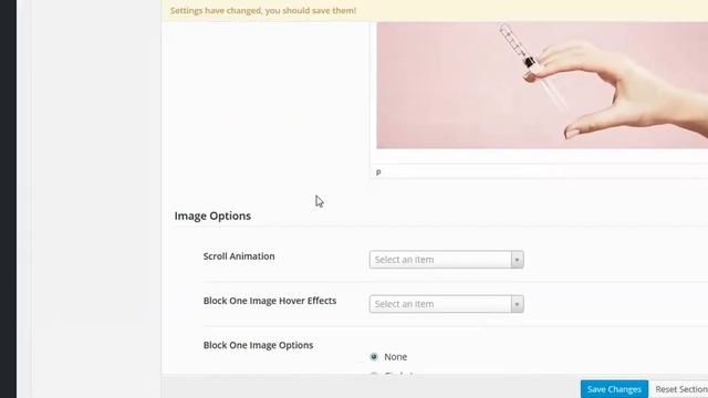 5- The Best News Theme Section Two Options - Wordpress Theme смотреть онлайн