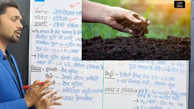 ग्लेडियोलस की खेती कक्षा-12वी Agriculture नवीन व्यावसायिक शिक्षा पाठ्क्रम смотреть онлайн