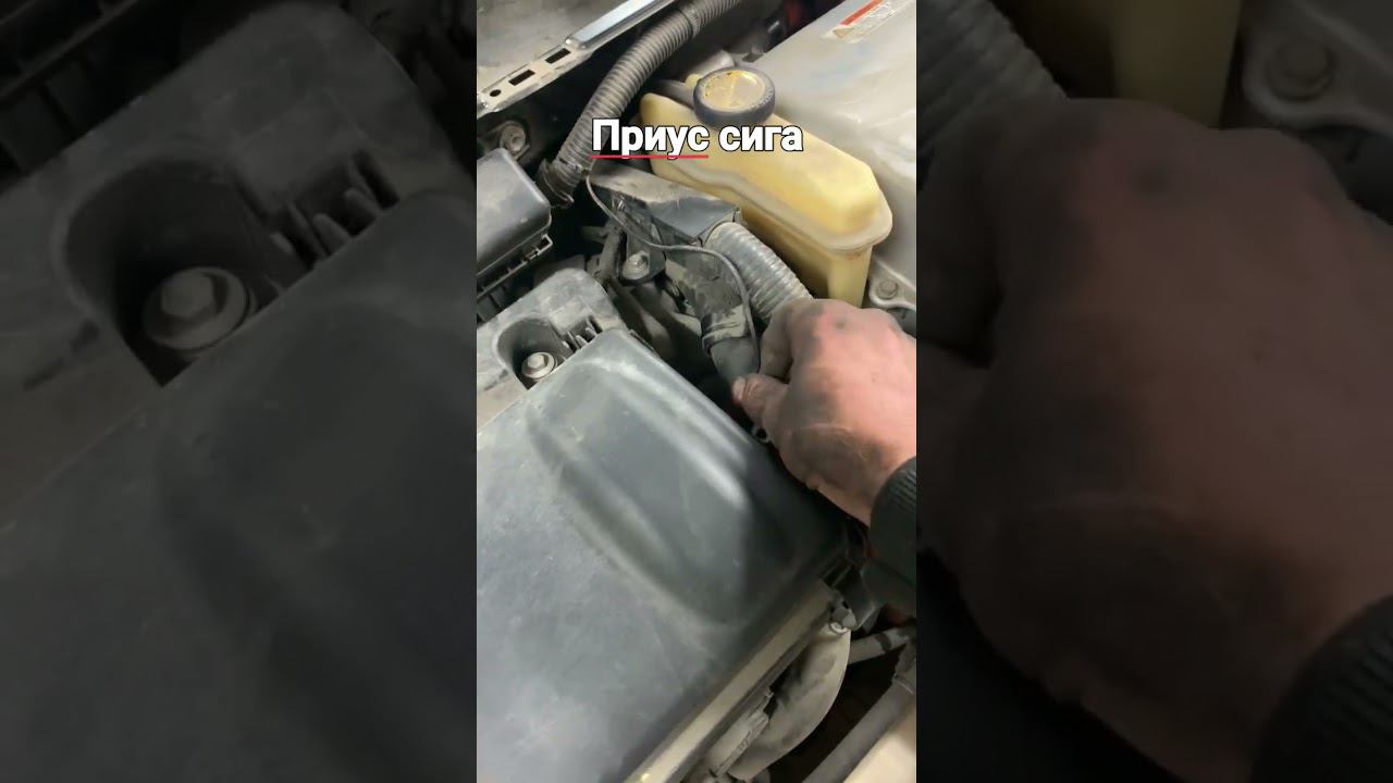 Приус сигналка #приус #тойота #ввб смотреть онлайн