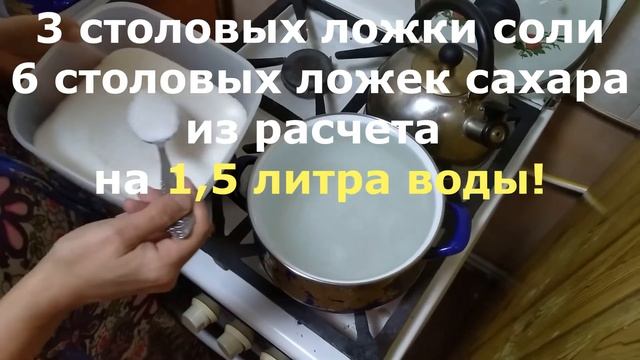 Наука и Открытия в Мире Технологий