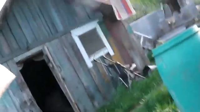 ой,Вибратор-вибратор=хит =поёт певец пророк самбо-й смотреть онлайн