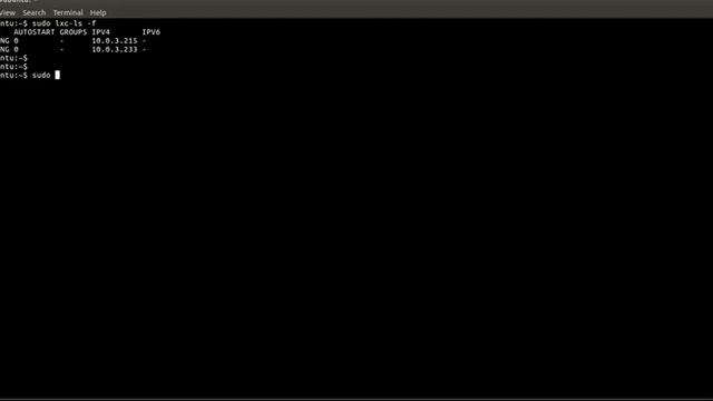 Просмотр конфигурации и ip-адреса контейнера LXC [Linux Conteiners] смотреть онлайн