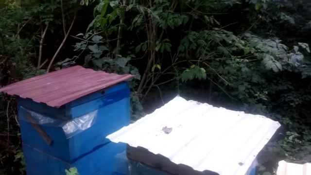 Что это? смотреть онлайн