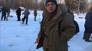 Блесна от Вильямс золото/серебро напомнила о себе. Клёвое место, Лосиный остров.