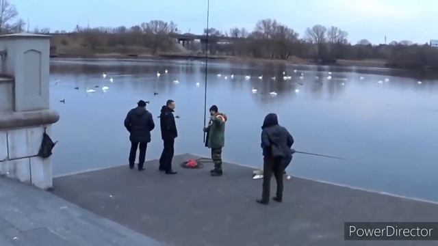 Хожу на дневной стационар или что шевелится в области паха.Vlog. Брест смотреть онлайн