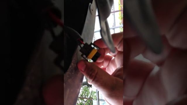 Боксерский досуг