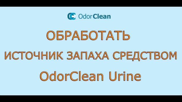 Устранение запаха мочи с ламината, паркета и других покрытий