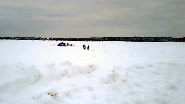 Крещение Господне, г.Печора, р.Печора, 19.01.22 смотреть онлайн