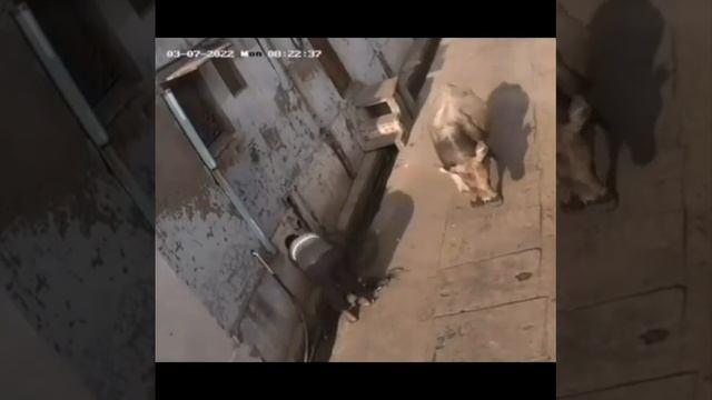 Здороваться надо! смотреть онлайн