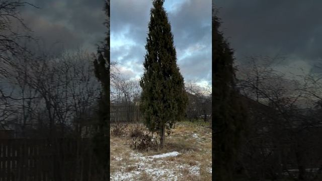 Участок в черте города, недалеко от центра Иваново, 6 я линия, 6:19