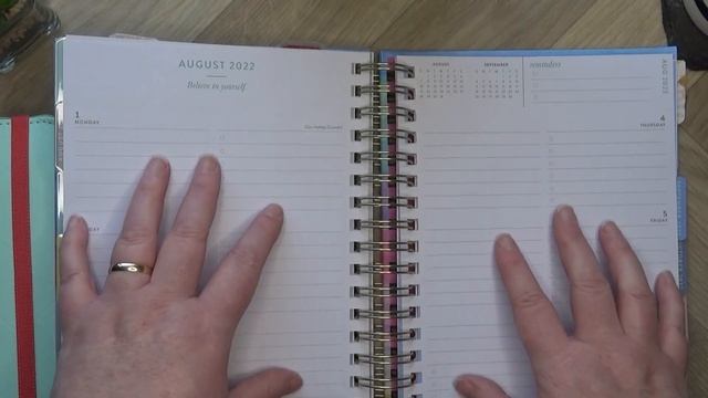 My large Stack of Planners | 2022 Planner Line Up - Part One смотреть онлайн