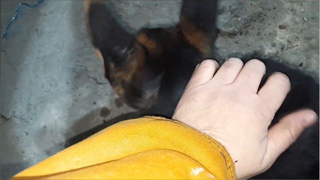 Пришёл на работу смотреть онлайн