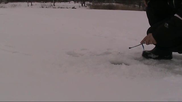 Отчет о зимней рыбалке 23.01.2017 смотреть онлайн