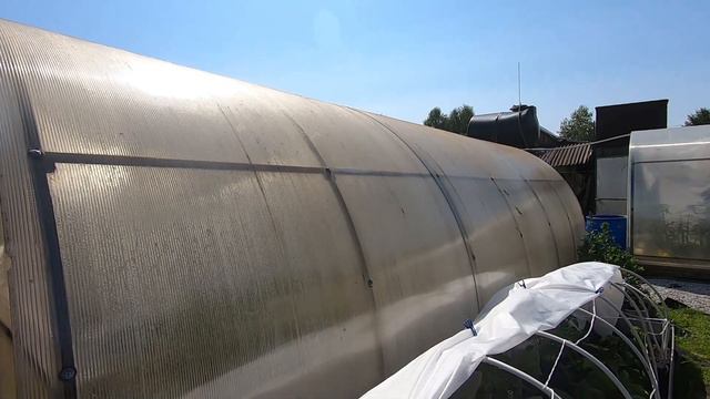 Почему у меня не получаются баклажаны 03.12.2023