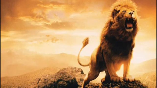 Сильный Нашид Залзалат / Nasheed Zalzalat