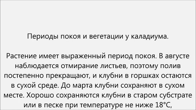 Каладиум уход смотреть онлайн