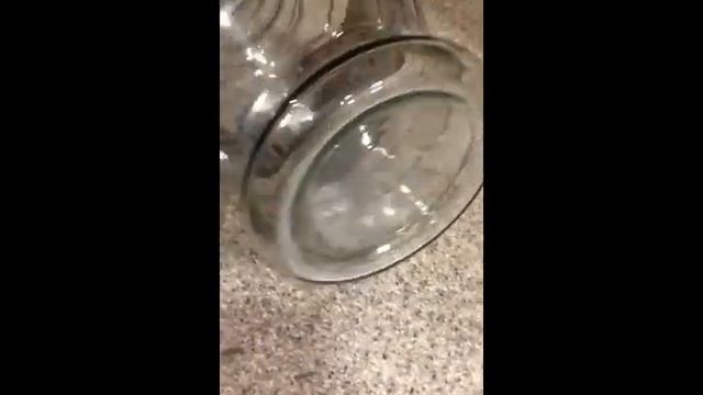 Колба Египетская для кальяна.