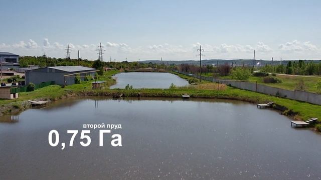 Рыбалка на платных прудах в Саратове. Загородный клуб "Березина речка" смотреть онлайн