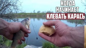 Когда начинается клёв карася весной? Советы ловли карася весной